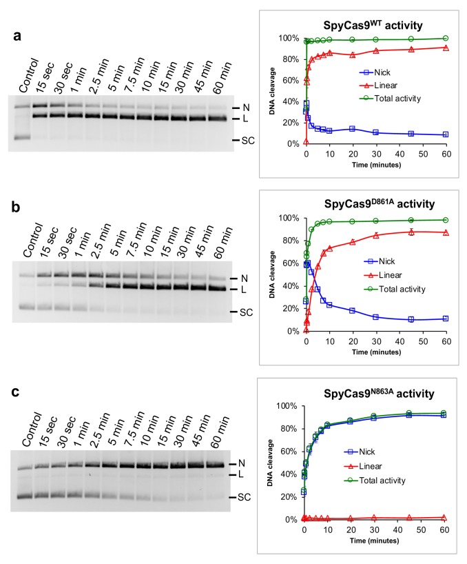 Figure 1—figure supplement 2.