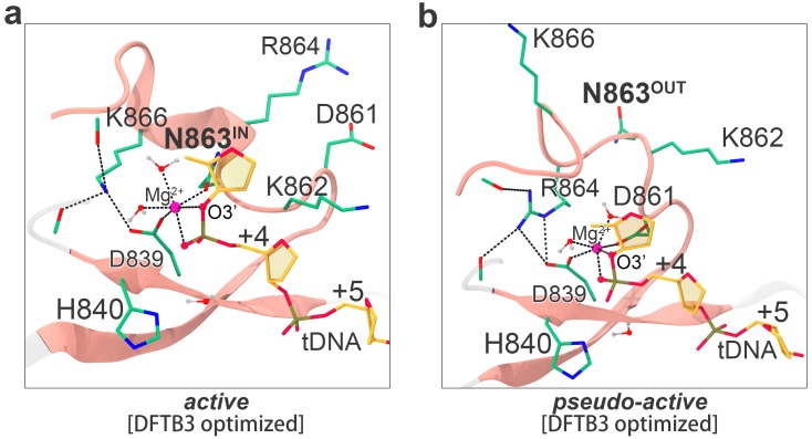 Figure 2—figure supplement 6.