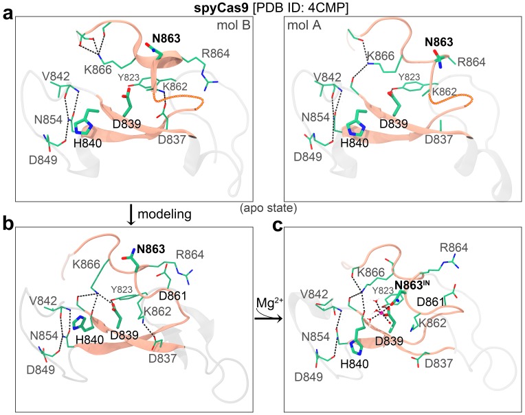 Figure 1—figure supplement 4.