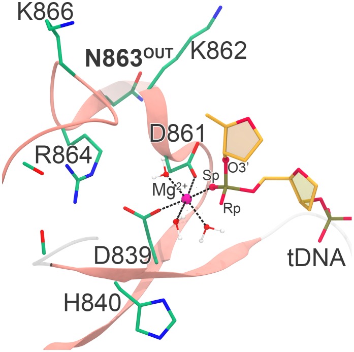 Figure 2—figure supplement 7.