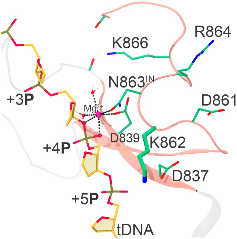 Figure 2—figure supplement 3.