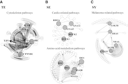 FIG. 3.