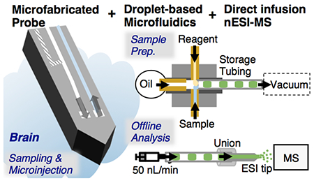 graphic file with name nihms-1064719-f0007.jpg