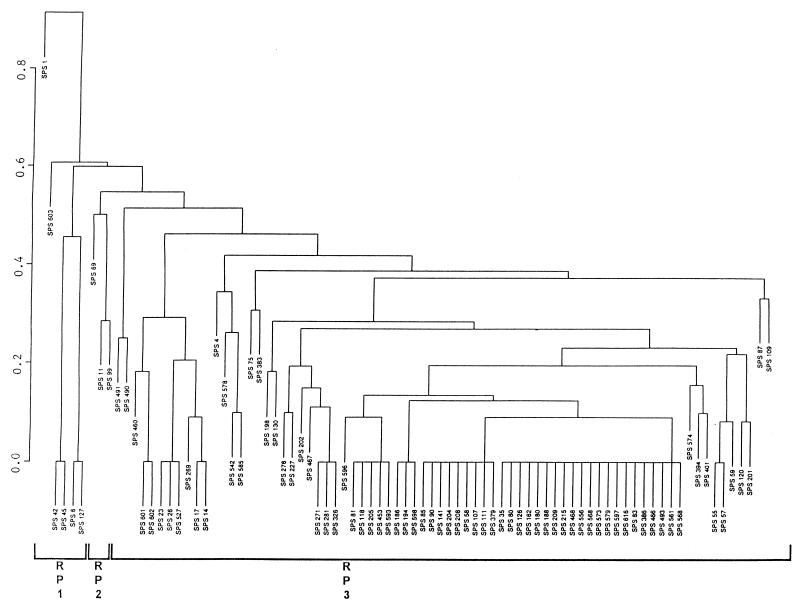 FIG. 1