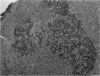 328