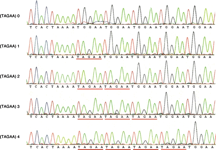 Fig. 3