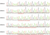 Fig. 3