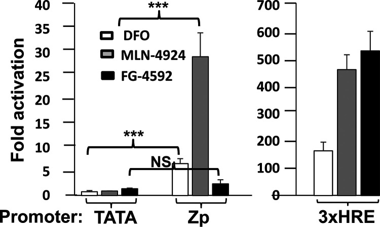 FIG 2