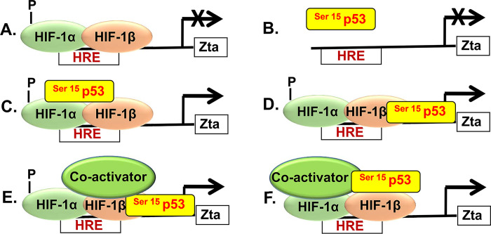 FIG 10