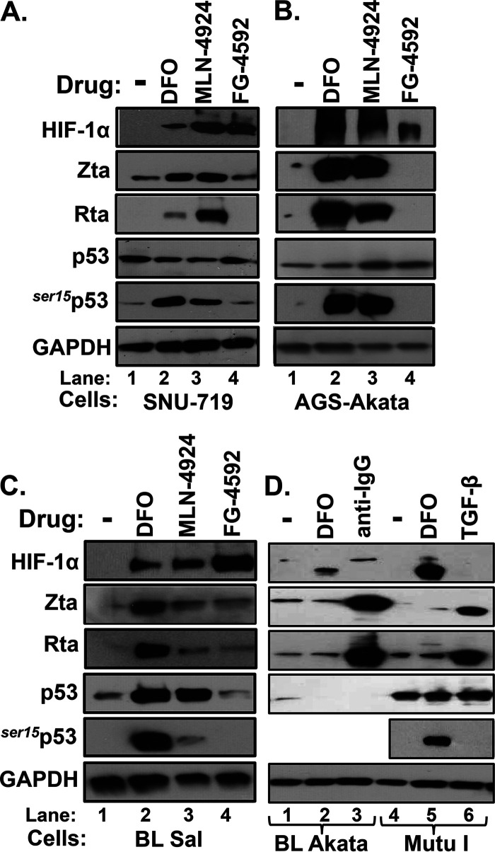 FIG 1