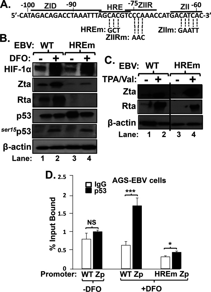 FIG 6