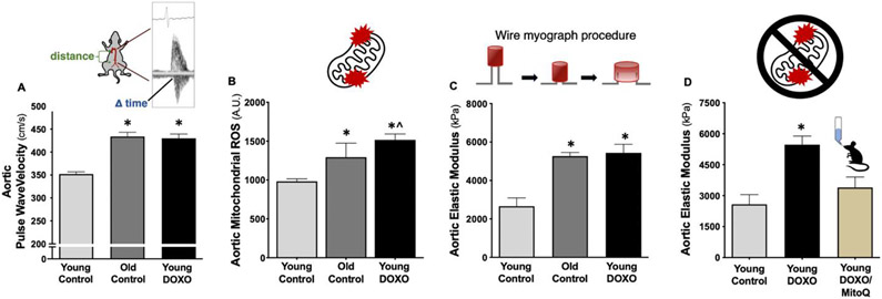 Figure 6.