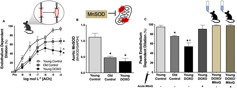 Figure 7.