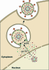 FIG. 4.
