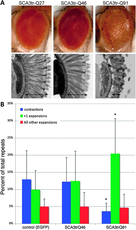 Figure 2.—