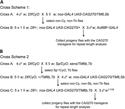 Figure 3.—