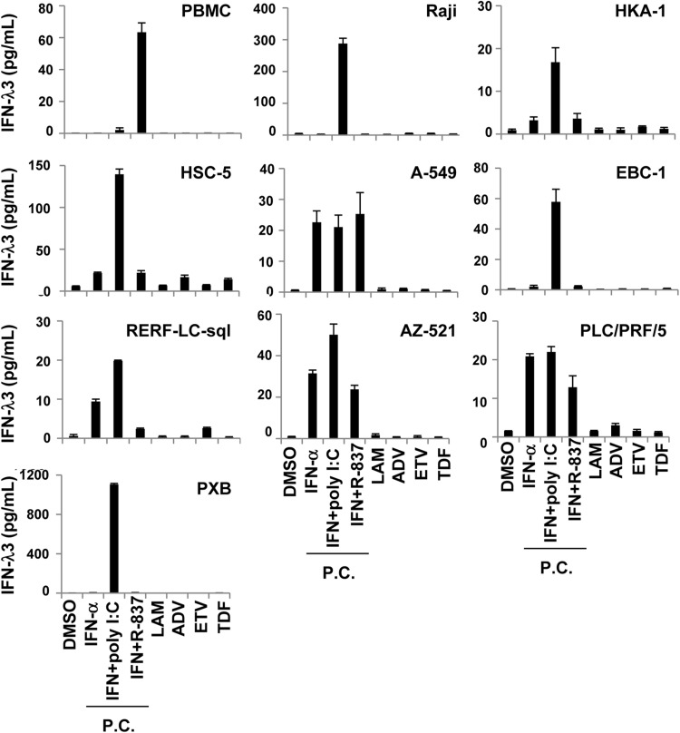 Figure 3