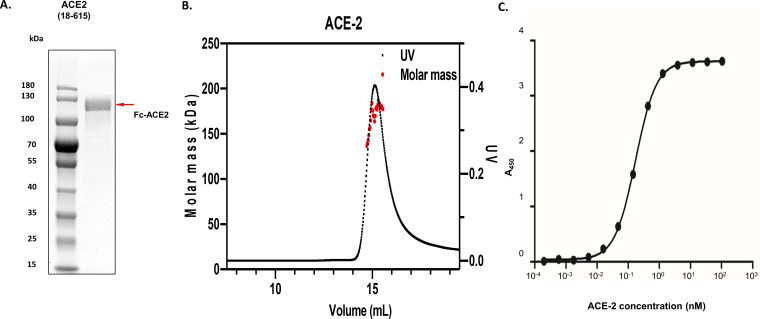 Figure 5—figure supplement 1.