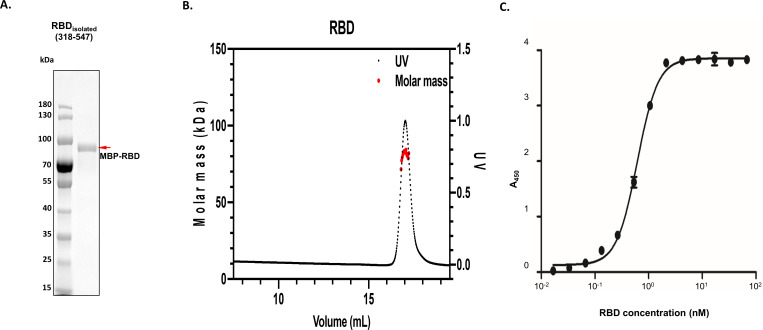 Figure 3—figure supplement 1.