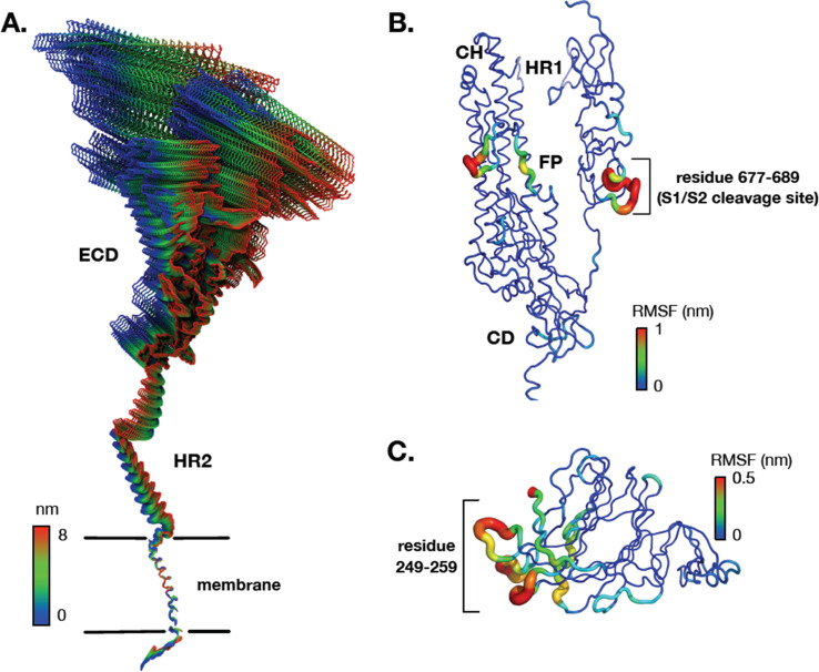 Figure 2—figure supplement 4.