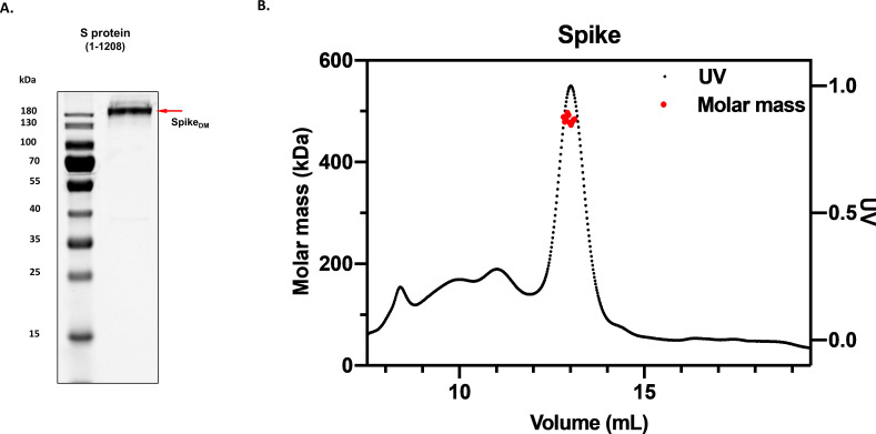 Figure 2—figure supplement 1.