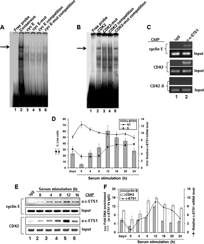 FIGURE 3.