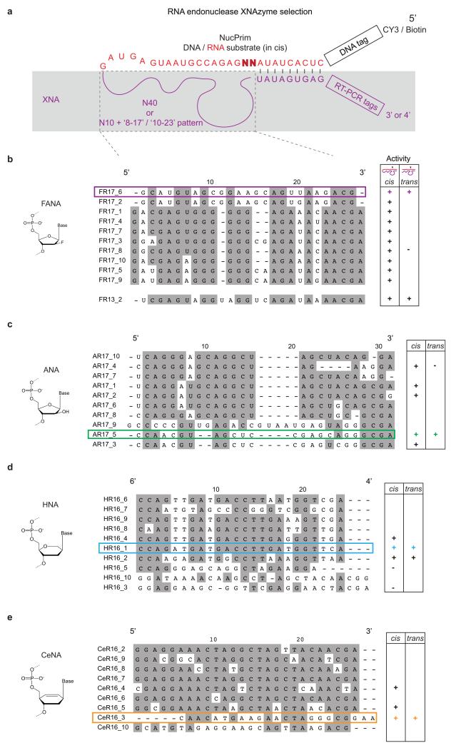 Extended Data Figure 2