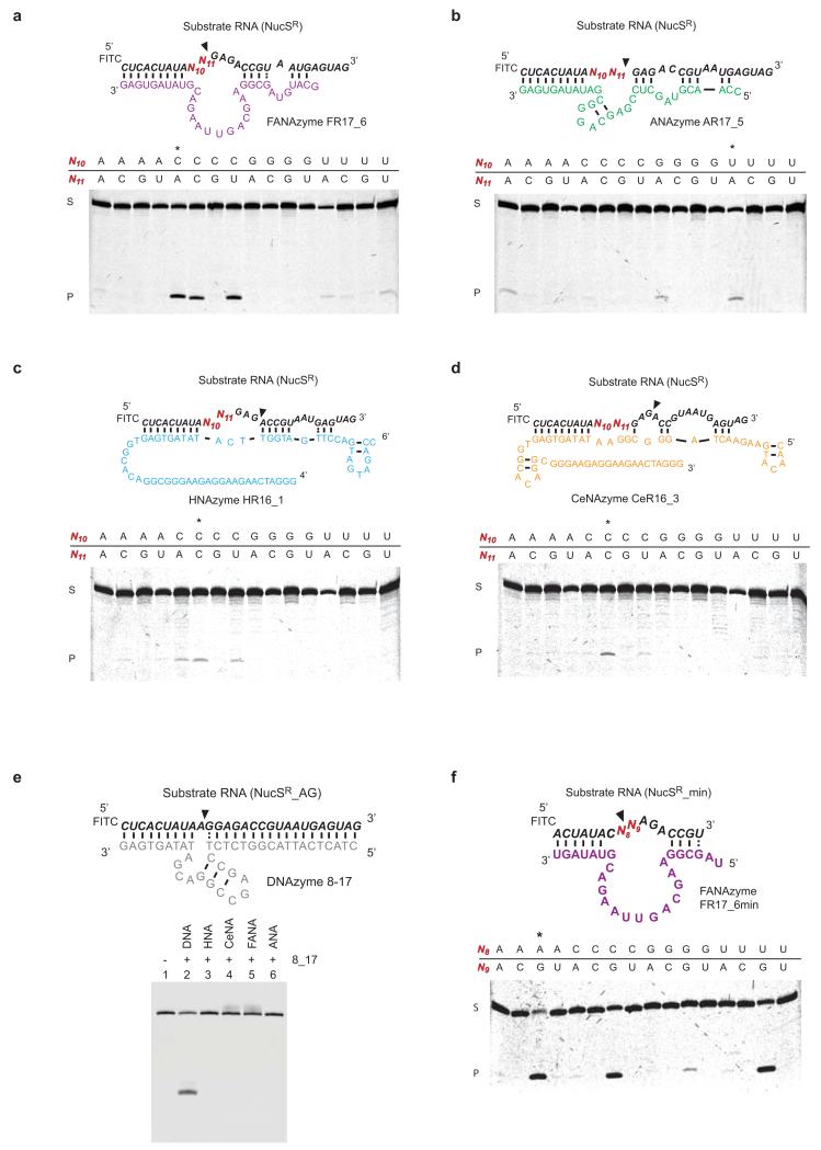 Extended Data Figure 3