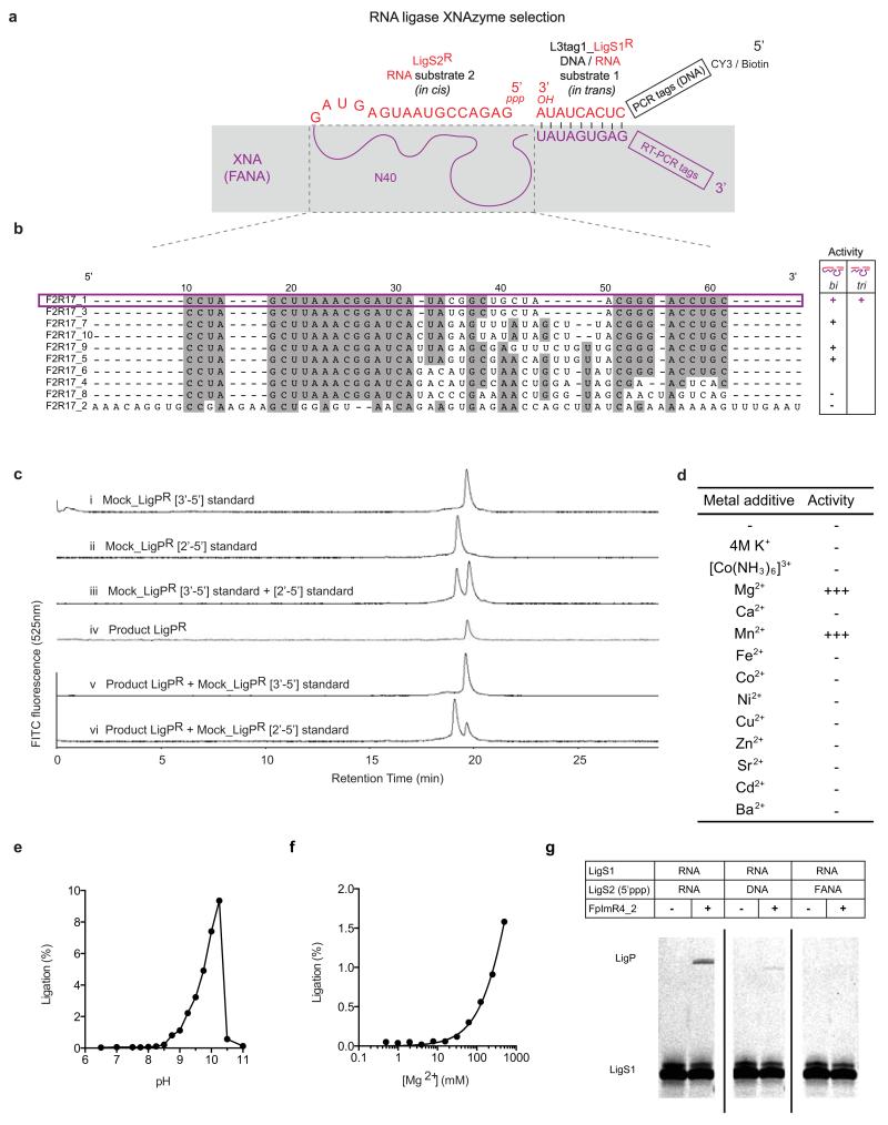 Extended Data Figure 7