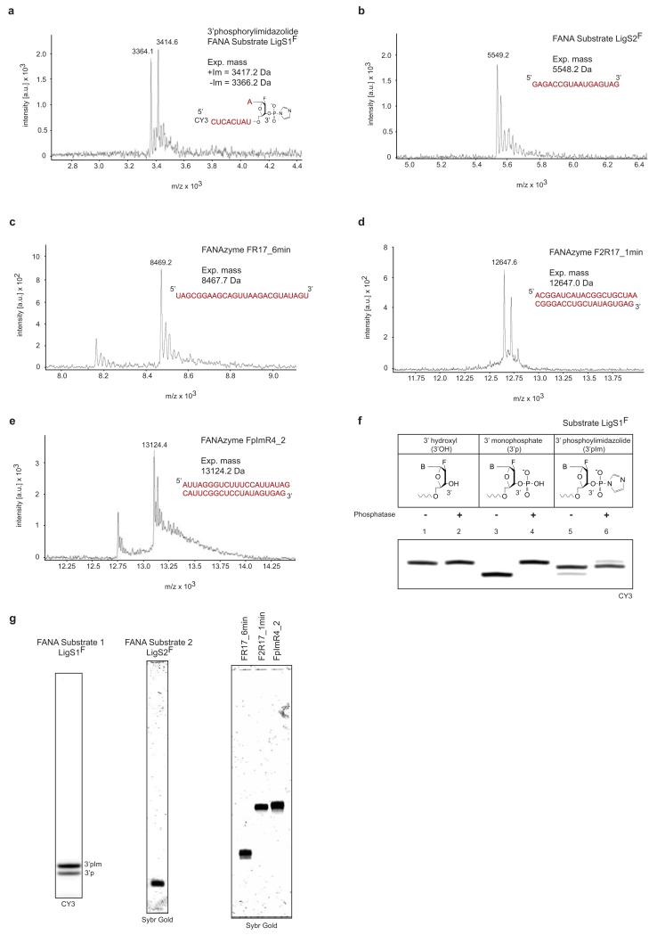 Extended Data Figure 10