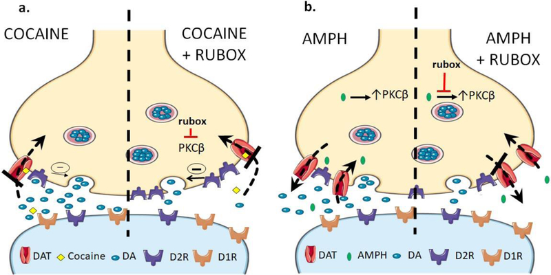 Figure 6: