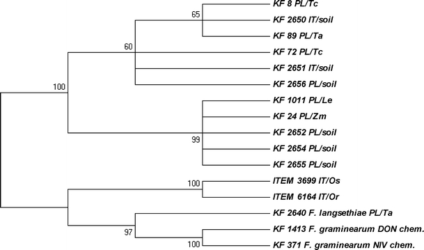 Fig. 5