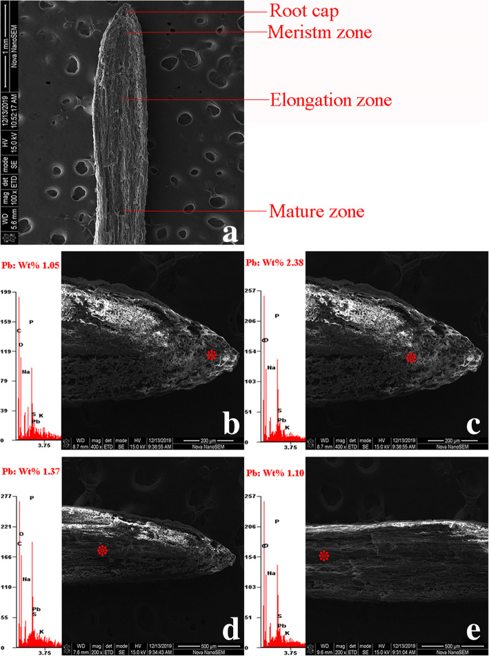 Fig. 10