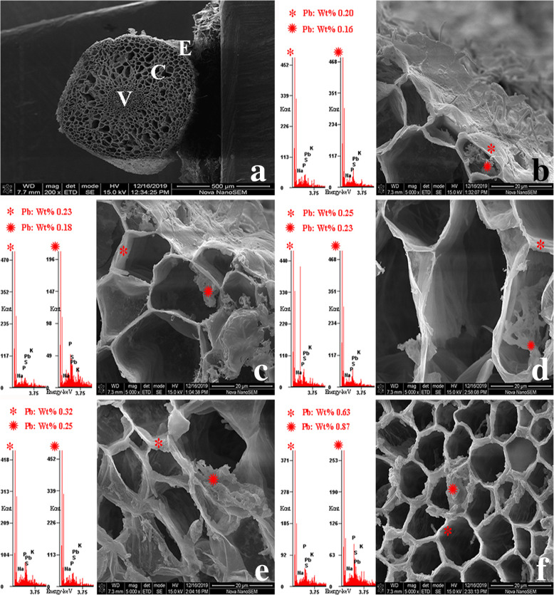 Fig. 11