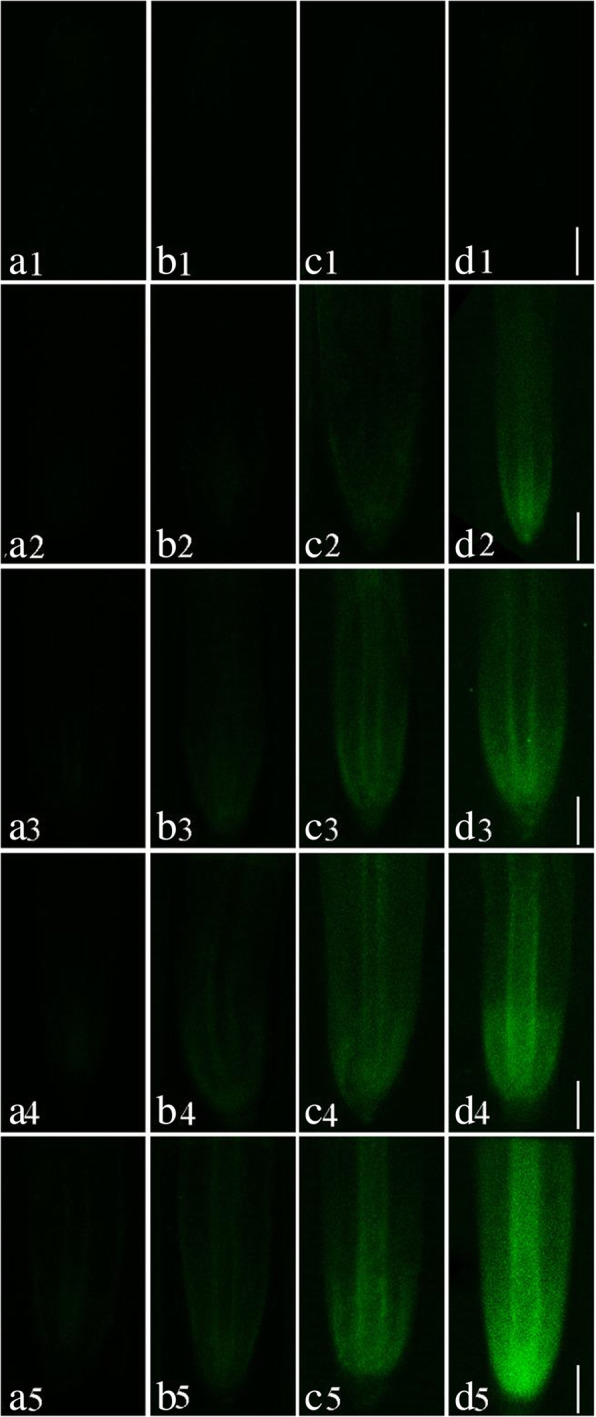 Fig. 7