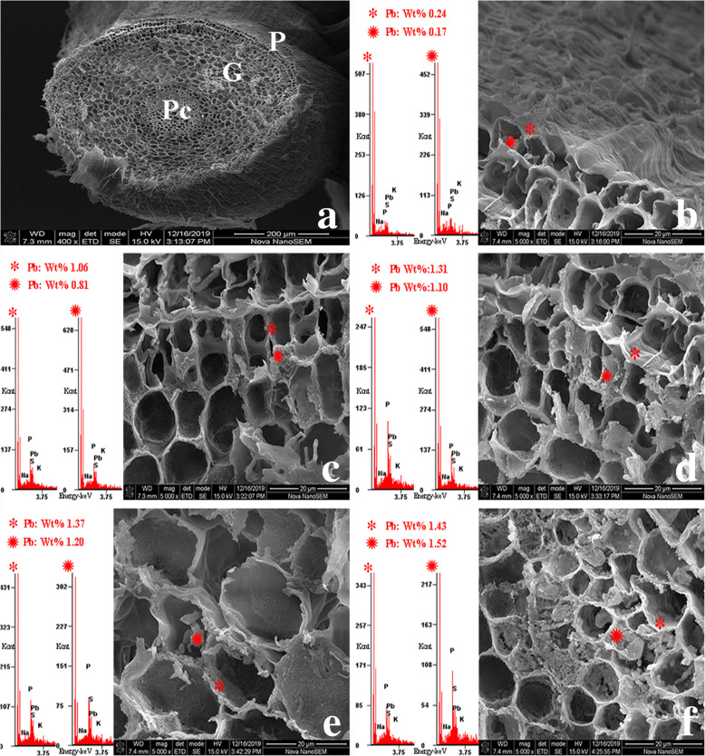 Fig. 12