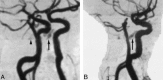 <sc>fig</sc> 3.