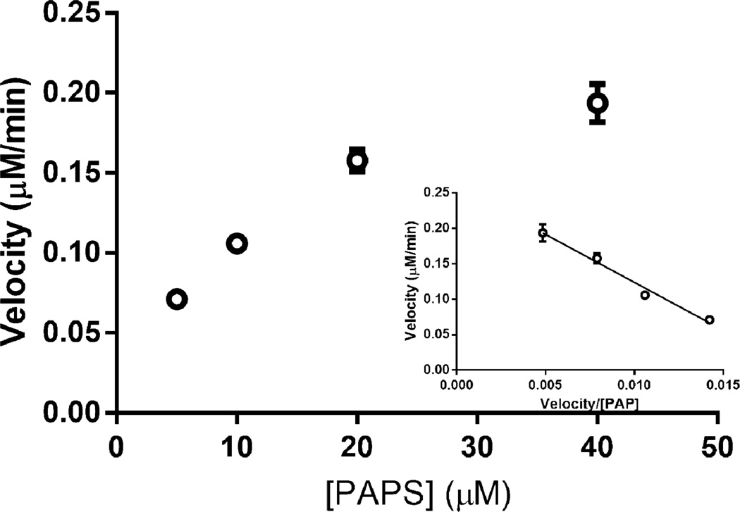 Fig. 11