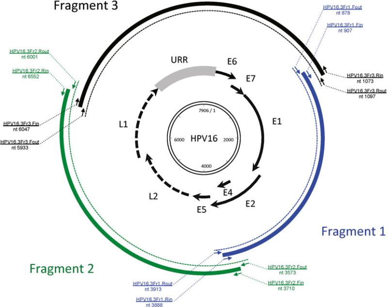 Fig. 5