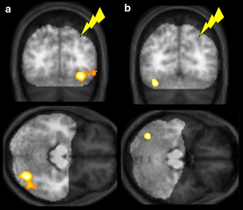 Fig. 3