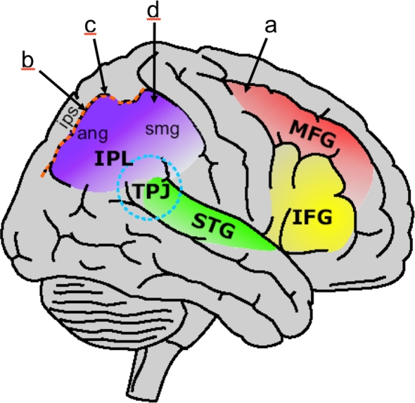 Fig. 1