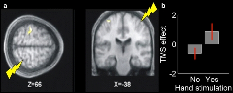 Fig. 4