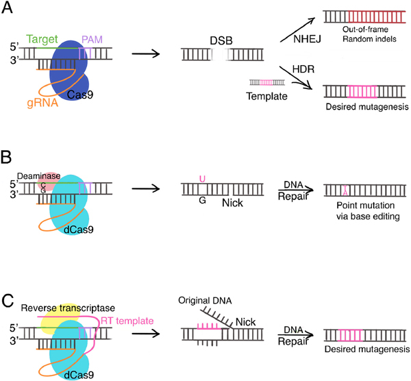 Figure 1: