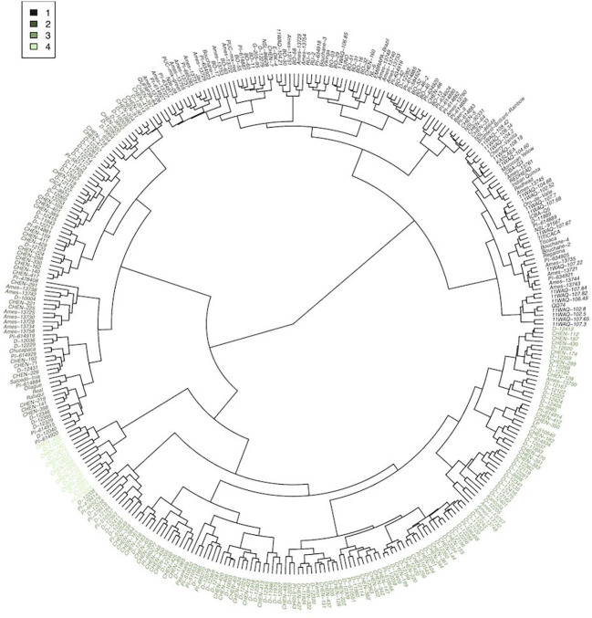 Figure 3