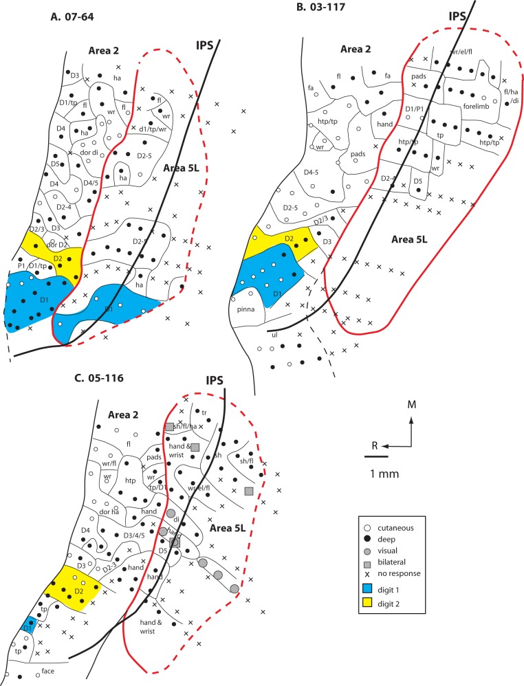 Figure 6.