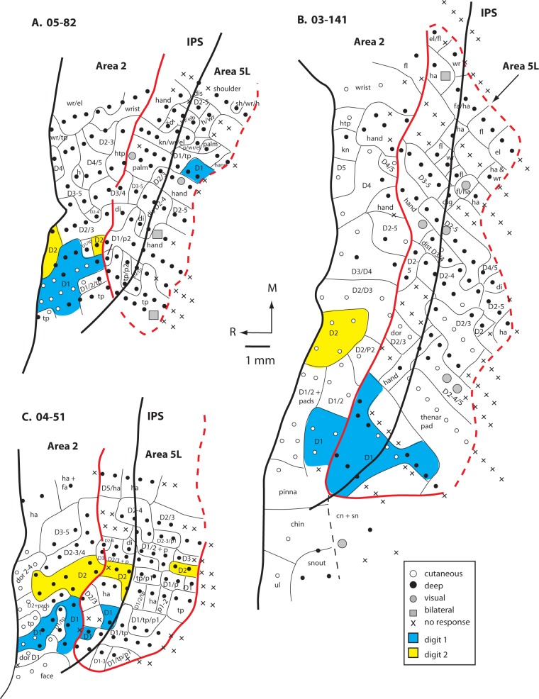 Figure 5.