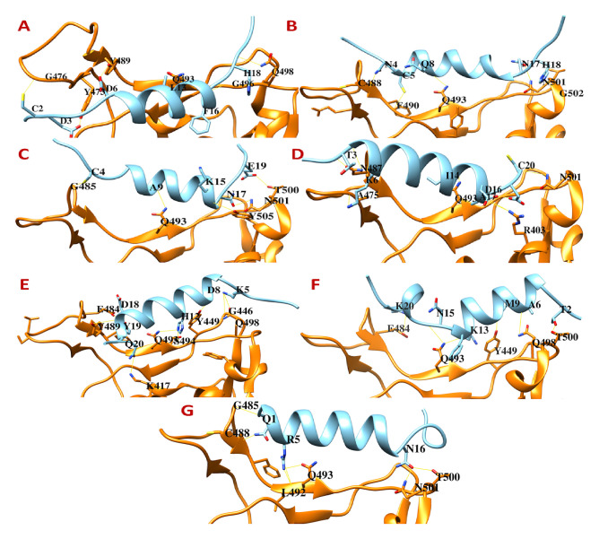 Figure 3. 