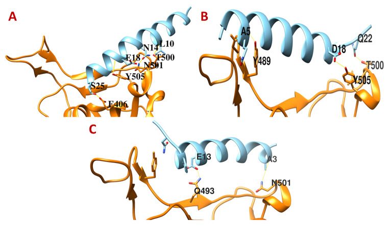 Figure 1. 