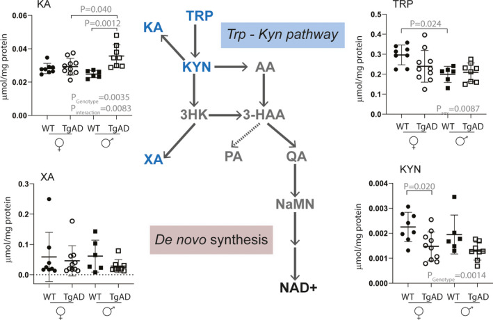 FIGURE 4