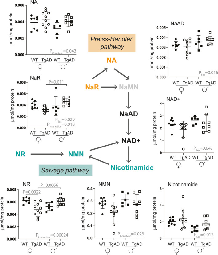 FIGURE 3